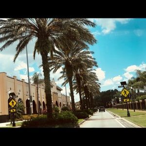 Meet your Posher, Yanci